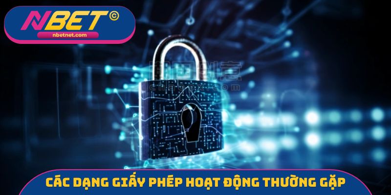 Các dạng giấy phép hoạt động thường gặp