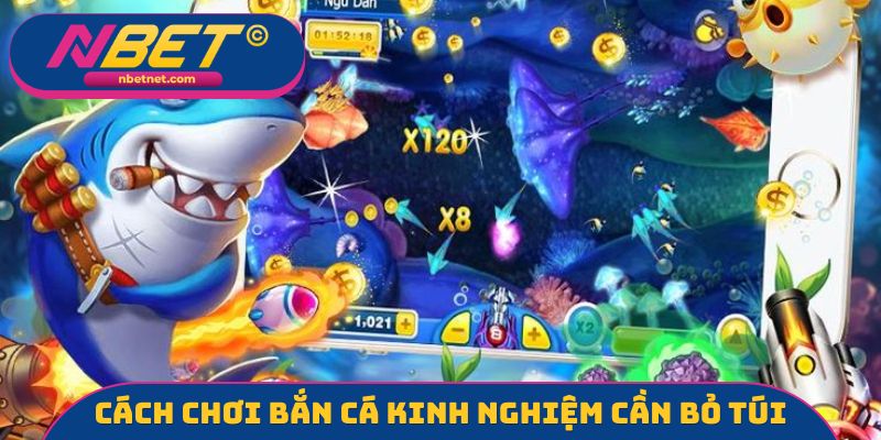 Cách chơi bắn cá kinh nghiệm cần bỏ túi
