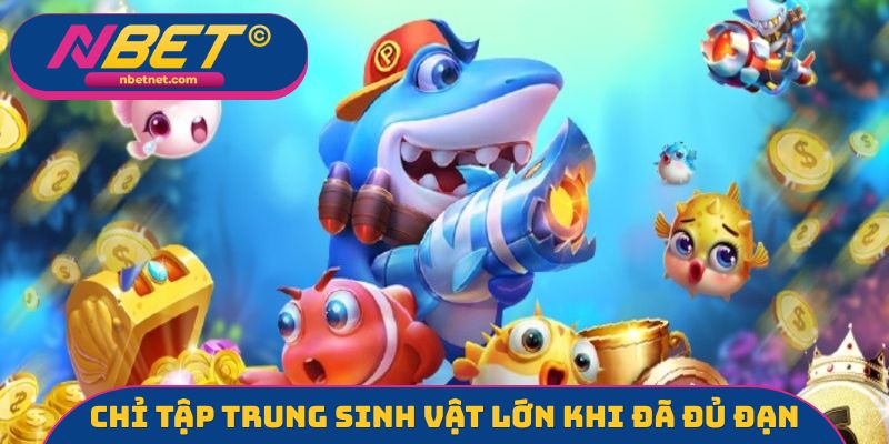 Chỉ tập trung sinh vật lớn khi đã đủ đạn