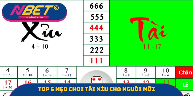 Top 5  mẹo chơi tài xỉu cho người mới